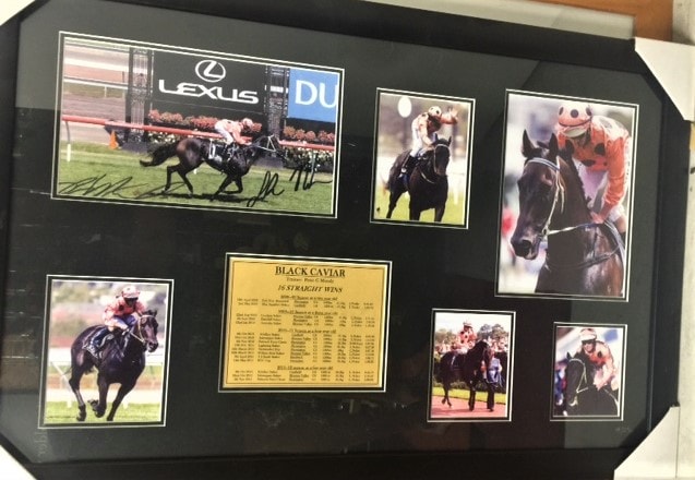 Black Caviar Framed Photo