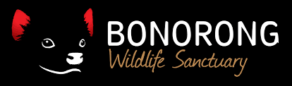 Bonorong Wildlife Sanctuary Pass 2